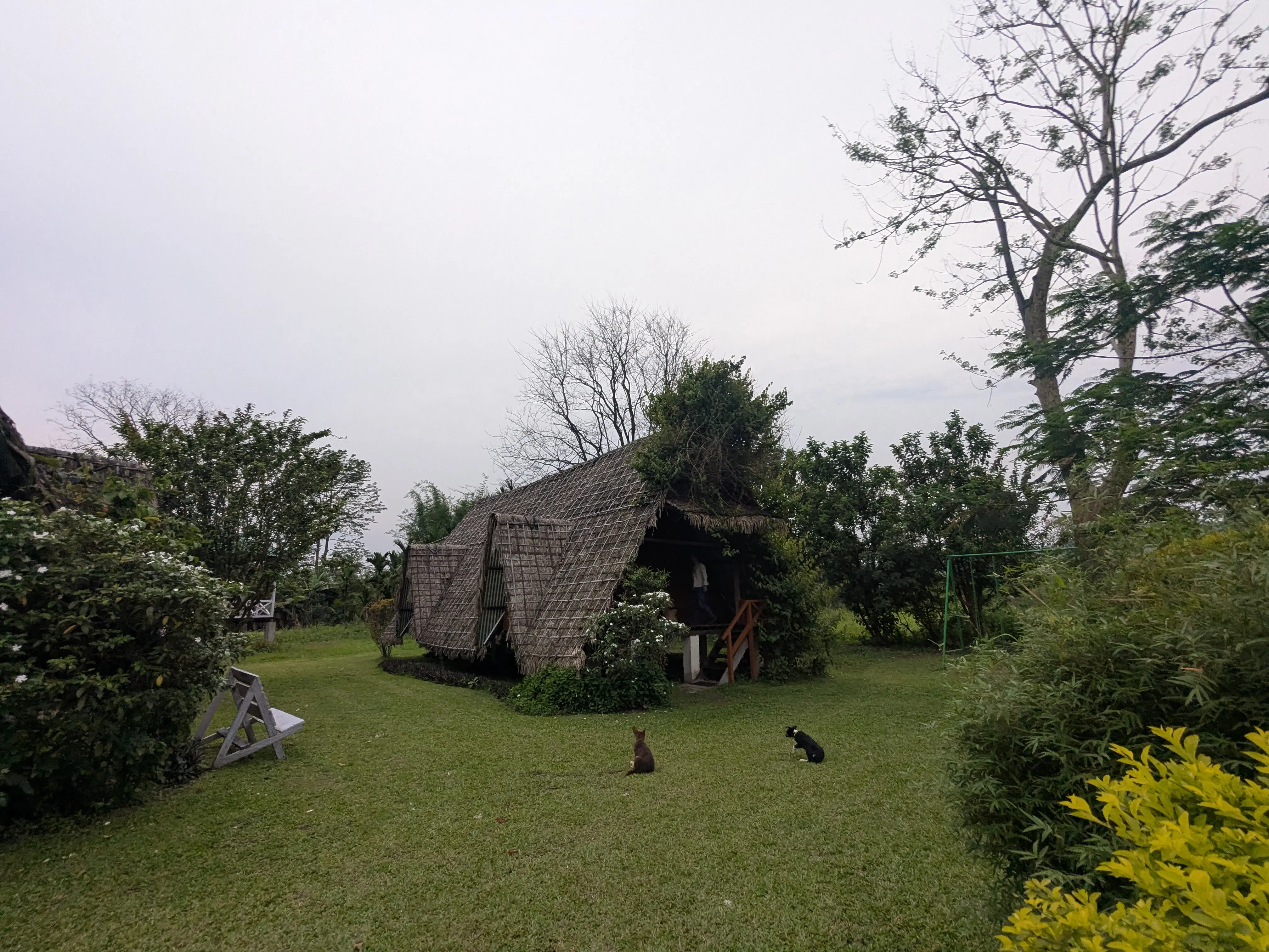 Tai Khamti village life in Eastern Arunachal