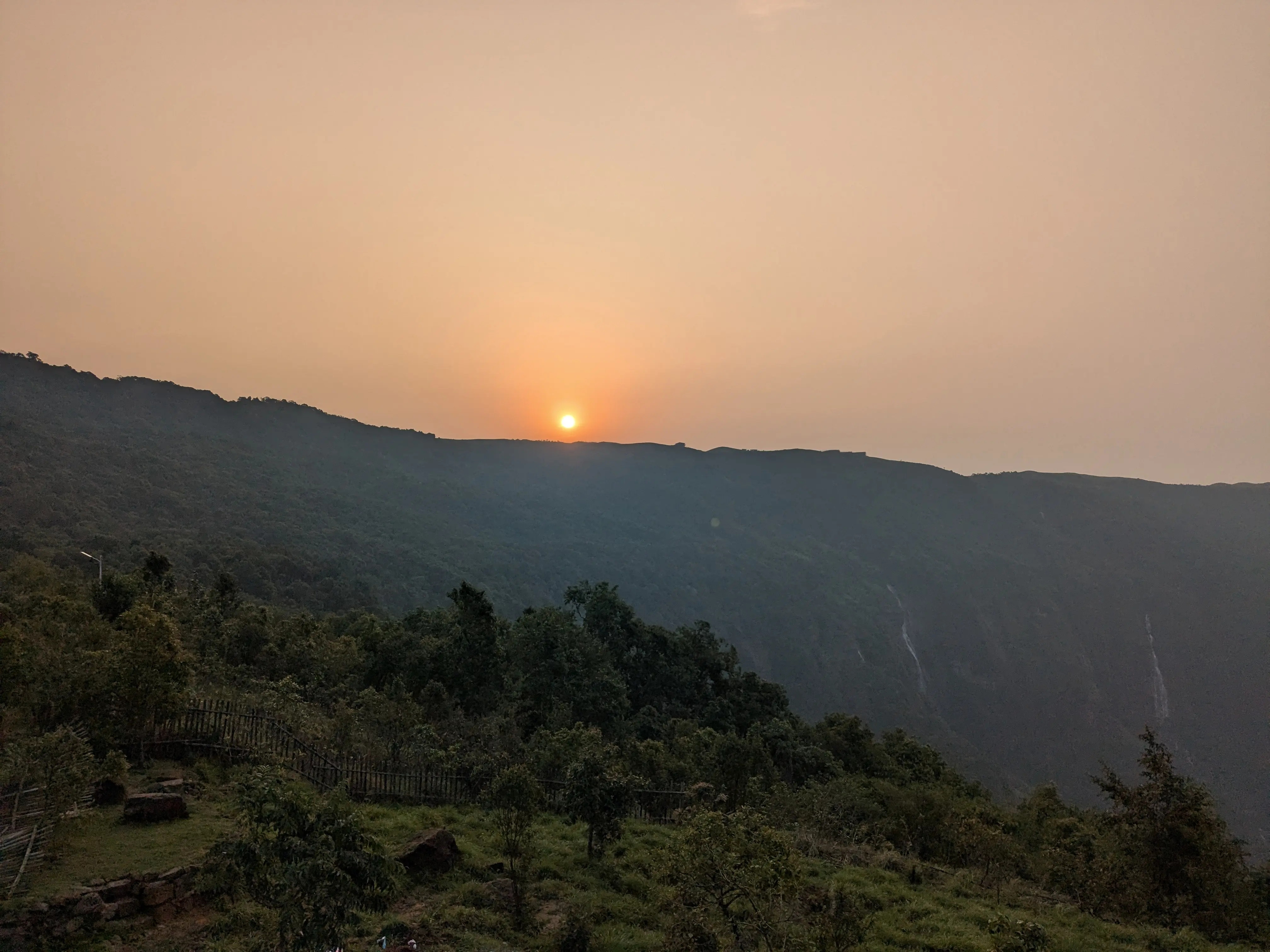 Misty canopy of Meghalaya's ancient forest