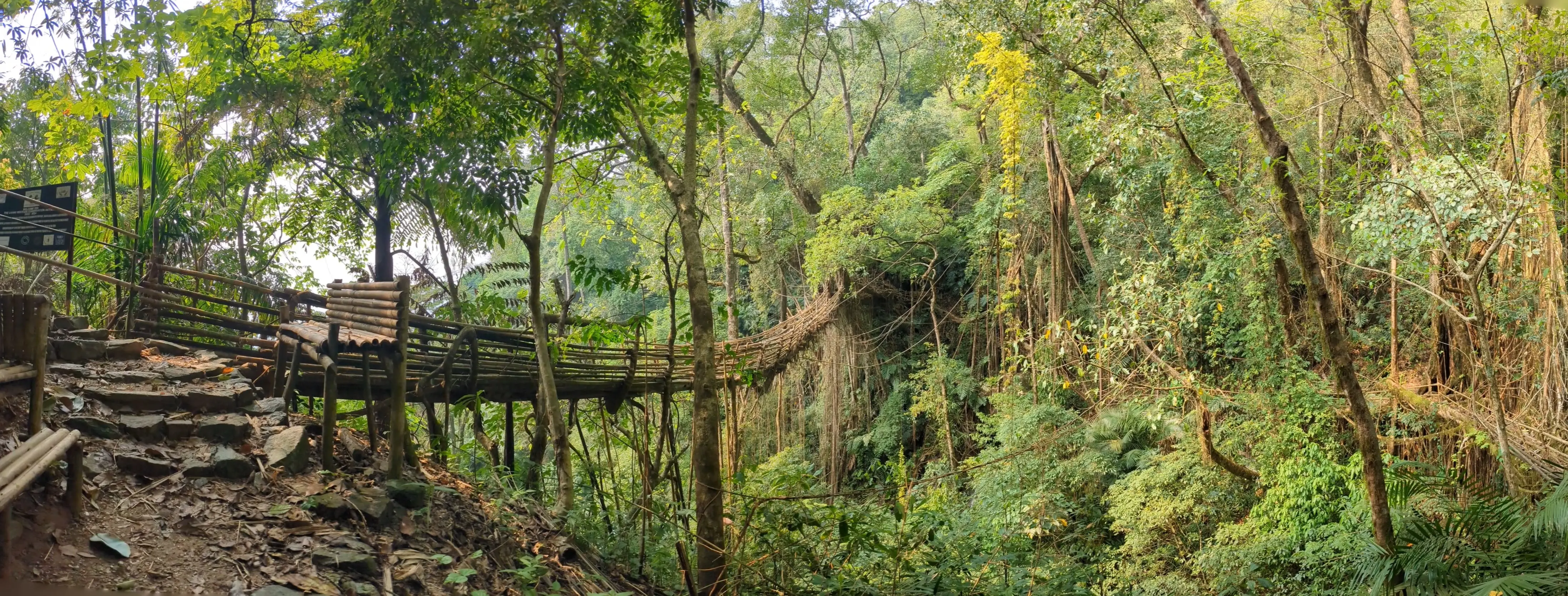 Bamboo walkway above the Umrew River gorge