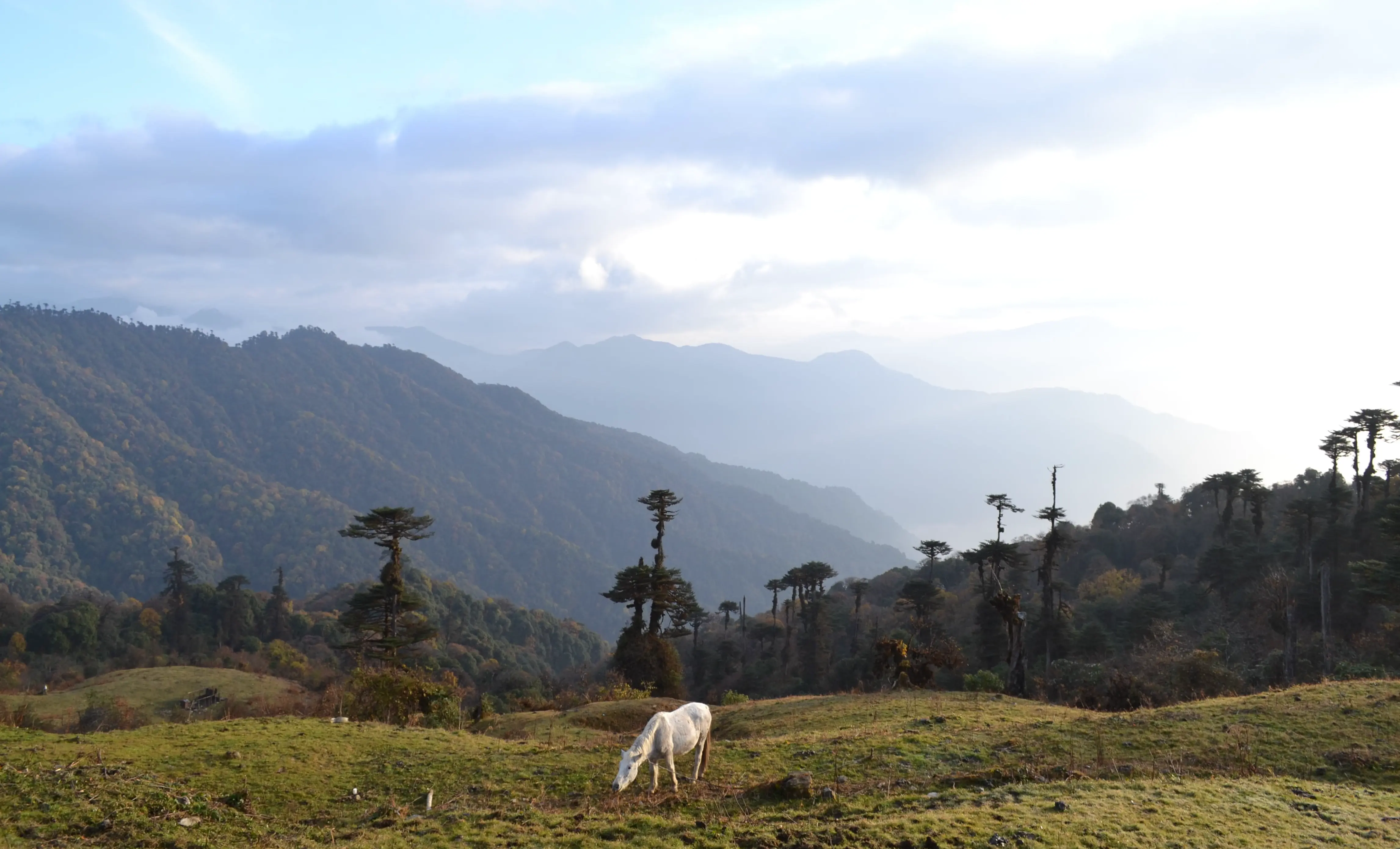 Meadows and mountains in Western Arunachal
