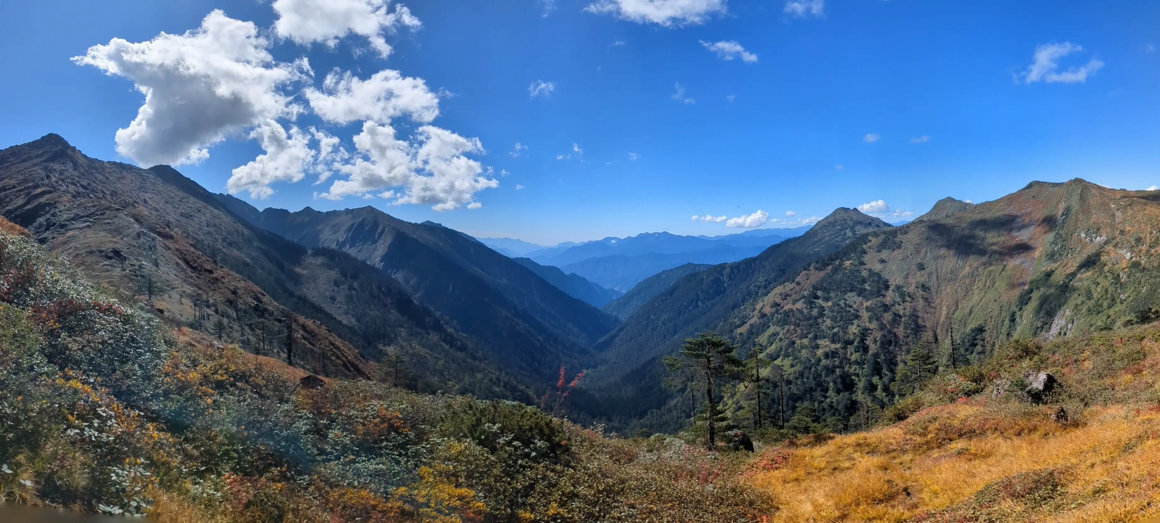 Forests and views while trekking above Camp 3