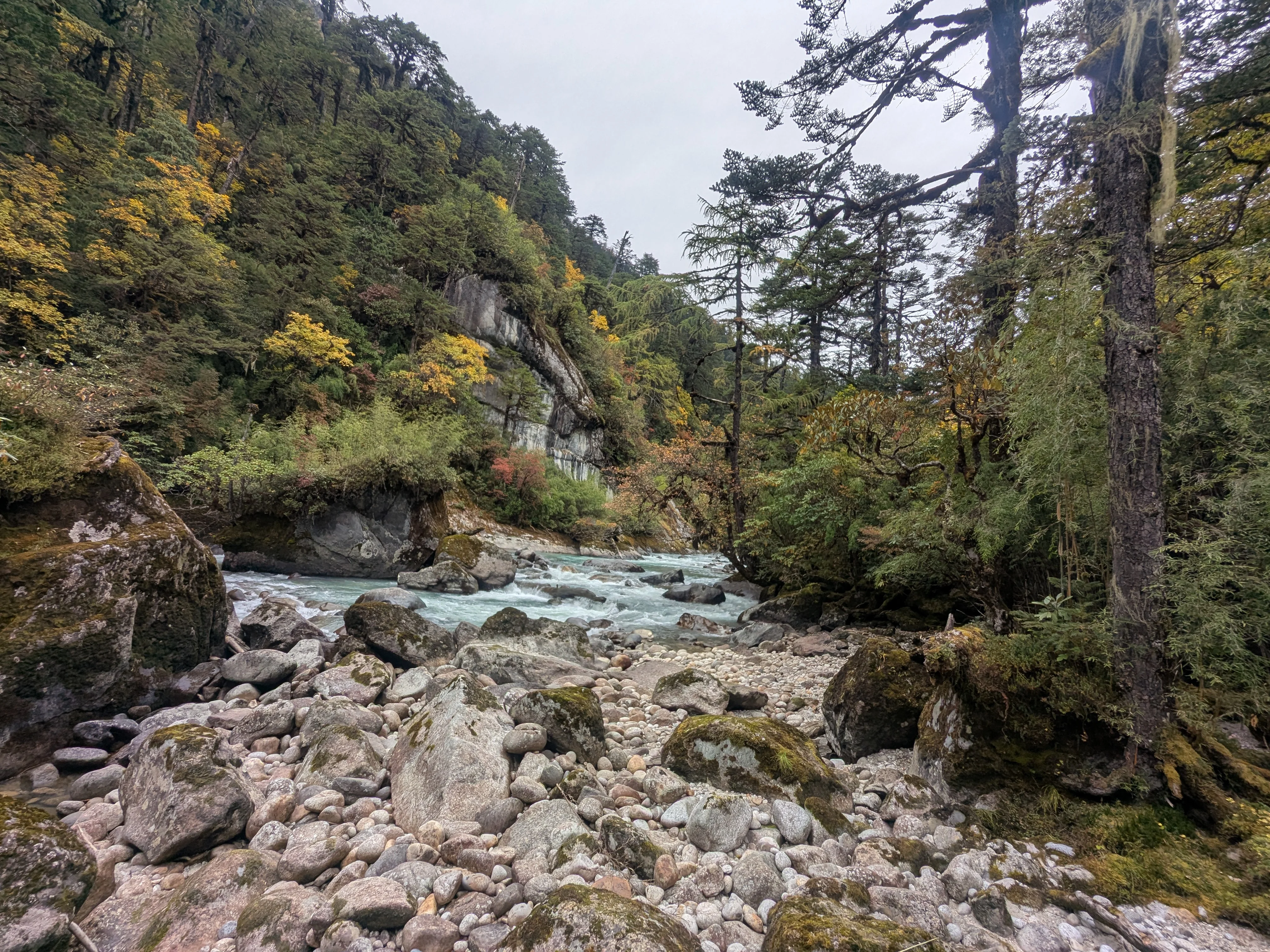 Autumn colours on Day 2 walk