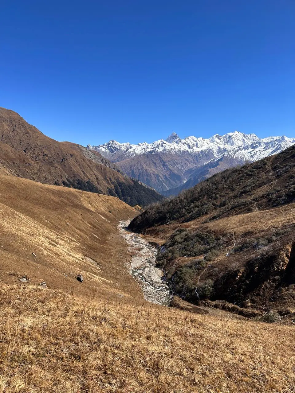 Snow-capped Bandarpoonch massif rising above the alpine meadow